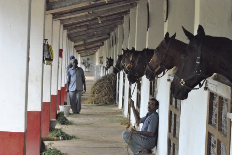 kunigal-horse-farm-to-be-an-educational-institution