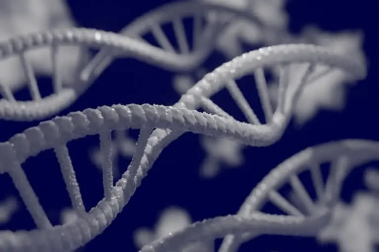 Scientists discover world's oldest DNA, breaks record by 1 mn years