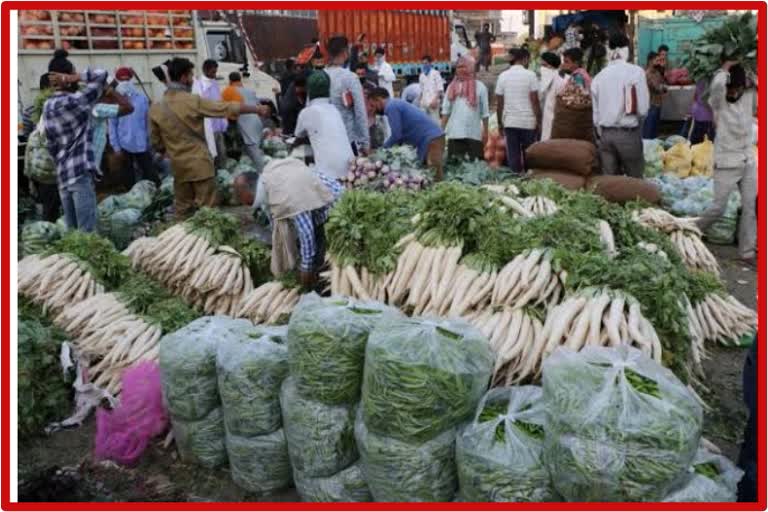 Vegetables Rate Today