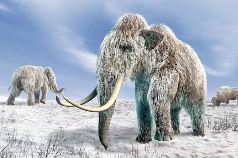 scientists discover world oldest DNA from Ice Age sediments breaks record by 1 mn years in greenland