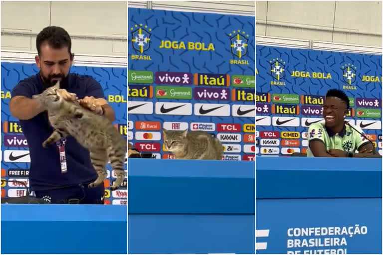 FIFA world cup  FIFA world cup 2022  Vinicius Jr s Press Conference  Vinicius Jr  brazil football team  വിനീഷ്യസ് ജൂനിയര്‍  വിനീഷ്യസ് ജൂനിയര്‍ വാര്‍ത്ത സമ്മേളനം  ബ്രസീല്‍ ഫുട്‌ബോള്‍ ടീം  ഖത്തര്‍ ലോകകപ്പ്  ഫിഫ ലോകകപ്പ് 2022