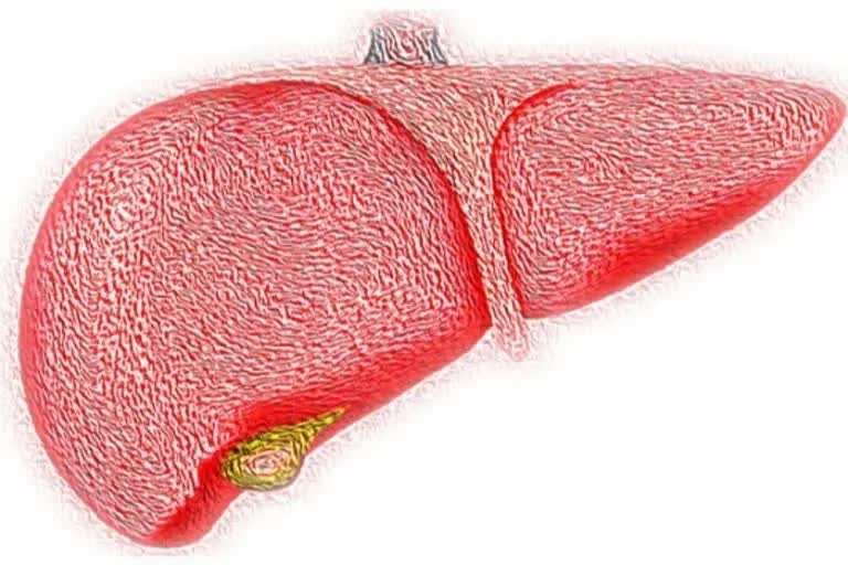 Liver  liver disease  heart health  Study  subtle liver disease impacts heart health  heart abnormalities  MRI  high cholesterol  blood pressure  diabetes  കരള്‍ രോഗം തകര്‍ക്കുമോ ഹൃദയത്തെ  കരളിനെ ബാധിക്കുന്ന ചെറിയ രോഗങ്ങള്‍  സ്‌മിഡ് ഹാർട്ട് ഇൻസ്റ്റിറ്റ്യൂട്ടിലെ ഗവേഷകർ  വാഷിംഗ്‌ടൺ  ഹൃദയവും കരളും  ഹൃദയത്തിന്‍റെ രോഗങ്ങള്‍  കരള്‍ രോഗങ്ങള്‍  ഹൃദയാരോഗ്യം