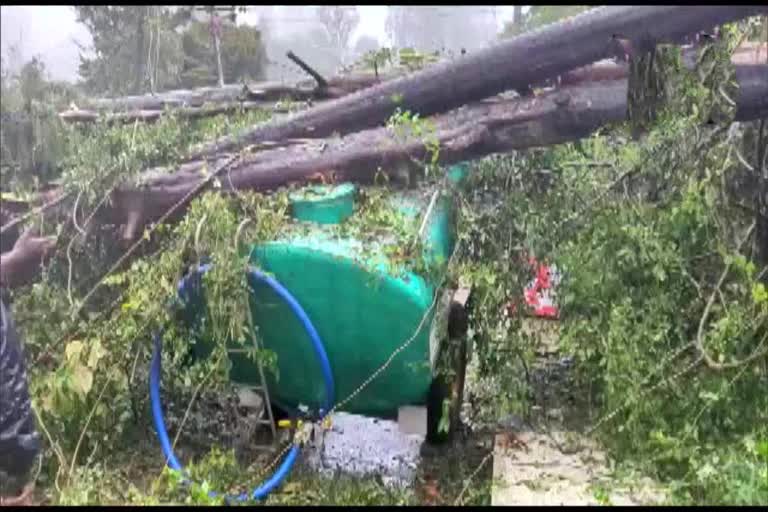 Cyclone Mandous in Tamil Nadu