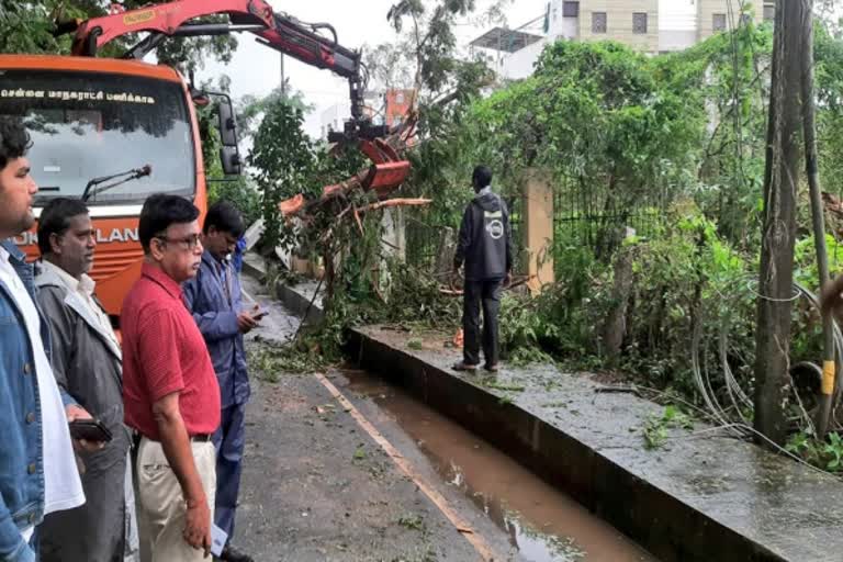 மாண்டஸ் புயலால் சாய்ந்த மரங்கள்; மீட்பு பணியில் மாநகராட்சி