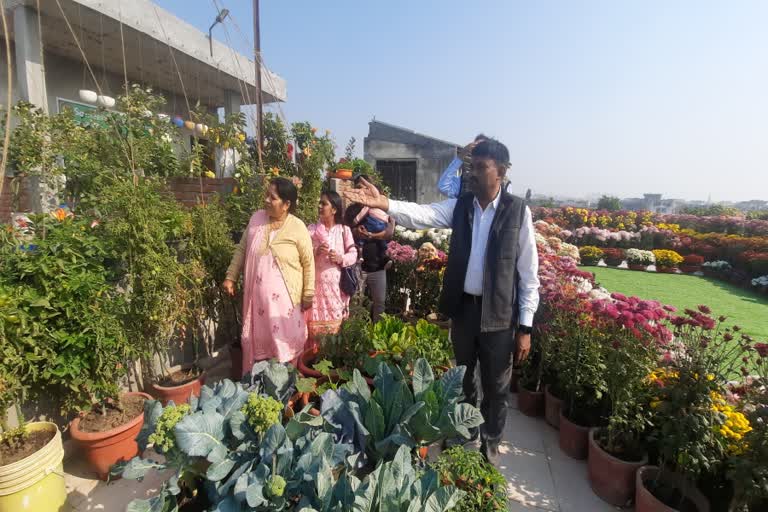 Pot cultivation in Karnal