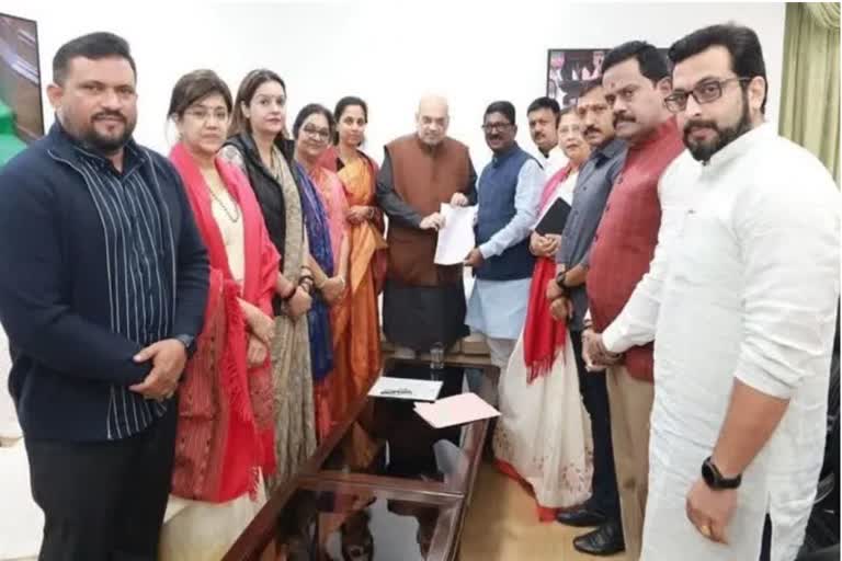 MAHARASHTRA DELEGATIONS MEETING WITH SHAH