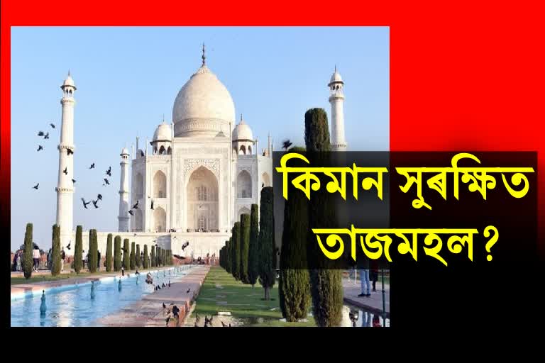 RTI query reveals precious stones missing from Taj Mahal every year