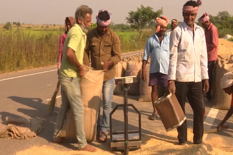 Paddy Grain Procurement