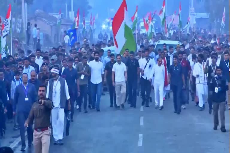 bharat jodo yatra