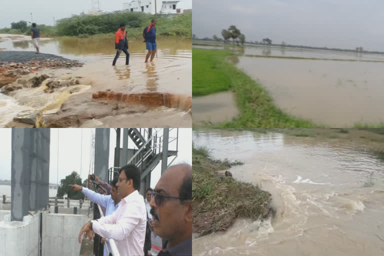 Rains in nellore