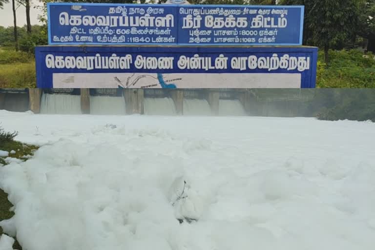 அணை நீரில் பொங்கும் ரசாயனக் கழிவு நுரை; விவசாயிகள் வேதனை