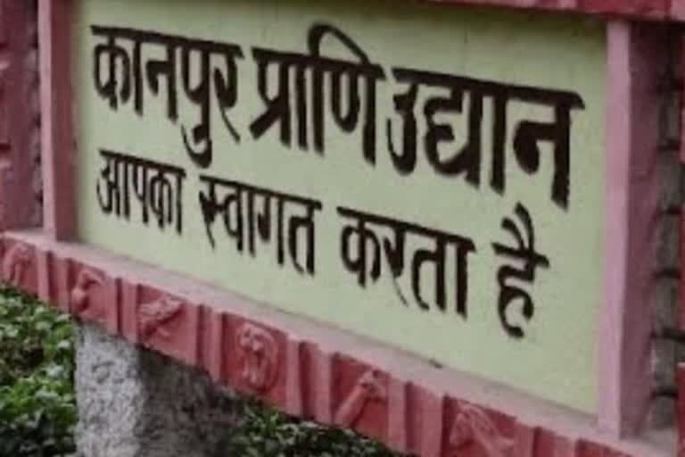 प्राणी उद्यान