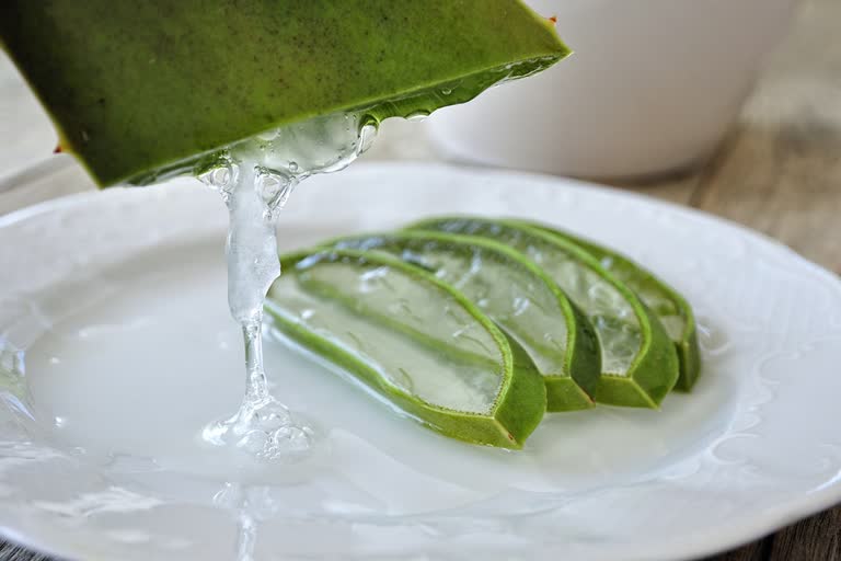 Aloe Vera for Skin problem 5 Ways to Get Rid of Pimples