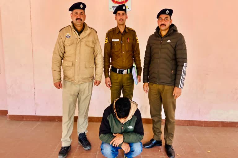 Charas smuggler arrested in kullu