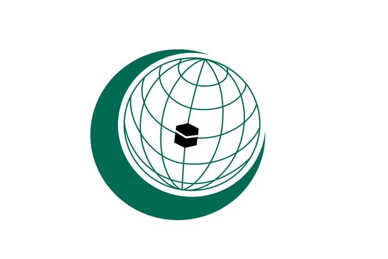 OIC Working on Kashmir Issue