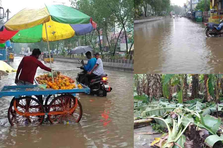 మాండౌస్​ ముప్పు.. అతలాకుతలమైన రాష్ట్రం.. నేలరాలిన పంటలు