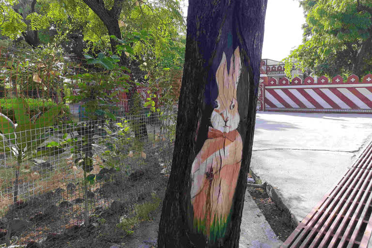 Message of wildlife conservation through murals in Bhilwara panchayat samiti