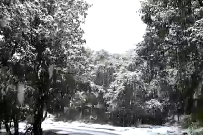 snowfall in Uttarakhand