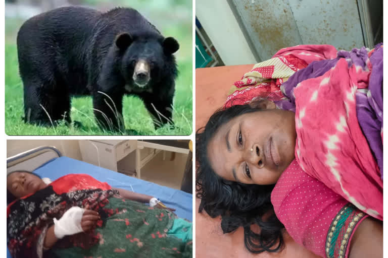 Bear Terror in Chaibasa