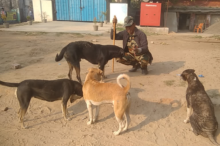 गोपालगंज के फौजी का पशु प्रेम