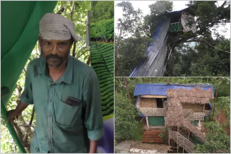 tree house and bamboo house  rajakat tree house  bamboo house made by sanni  kerala news  malayalam news  Idukki tourism news  tree house in eighty feet high  Erumadam in idukki  എണ്‍പതടി ഉയരത്തില്‍ ഏറുമാടം  രാജാക്കാട്ട് മുളവീട്  കേരള വാർത്തകൾ  മലയാളം വാർത്തകൾ  ഇടുക്കി ഫാം ടൂറിസം  സണ്ണിയുടെ ഏറുമാടം  ഏറുമാടവും മുളവീടും  രാജാക്കാട്ട് ടൂറിസം വാർത്തകൾ  കുത്തുങ്കല്‍ വെള്ളച്ചാട്ടം