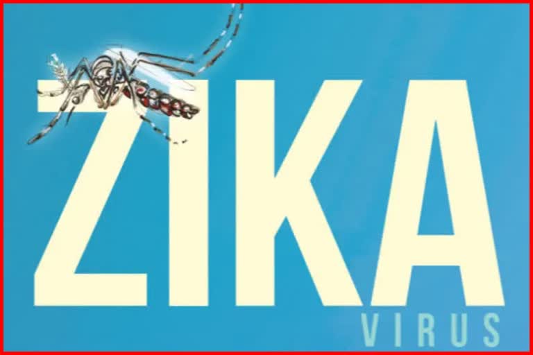 Zika Virus