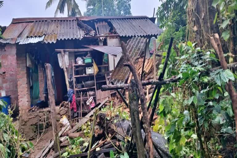 tree fell on the house at chikkamagaluru