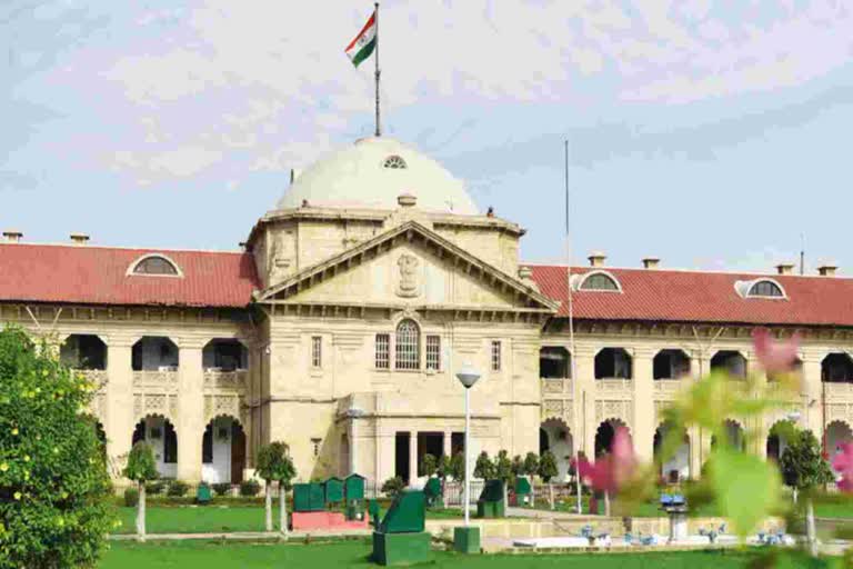 Allahabad High Court Order