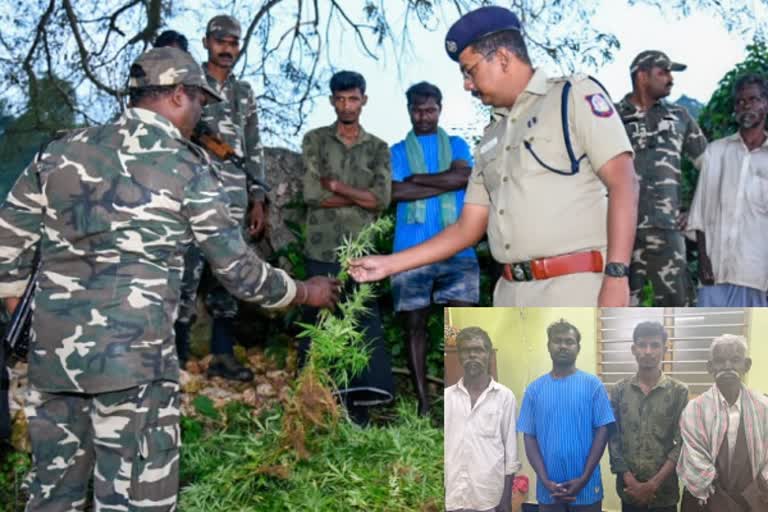 கோவை பாலமலை வனப்பகுதியில் வளர்ப்பு; முதியவர் உட்பட 4 பேர் கைது