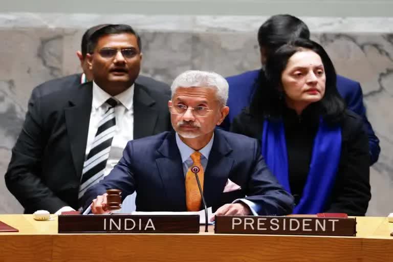 UNમાં કાશ્મીરનો મુદ્દો ઉઠાવવા બદલ ભારતે પાકિસ્તાનની કરી ટીકા