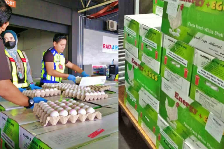 In a first, India Wednesday exported its first lot of table eggs to Malaysia which is looking forward to weather out its table egg shortage crisis, a statement from the Agricultural and Processed Food Products Export Development Authority (APEDA) said on Thursday.