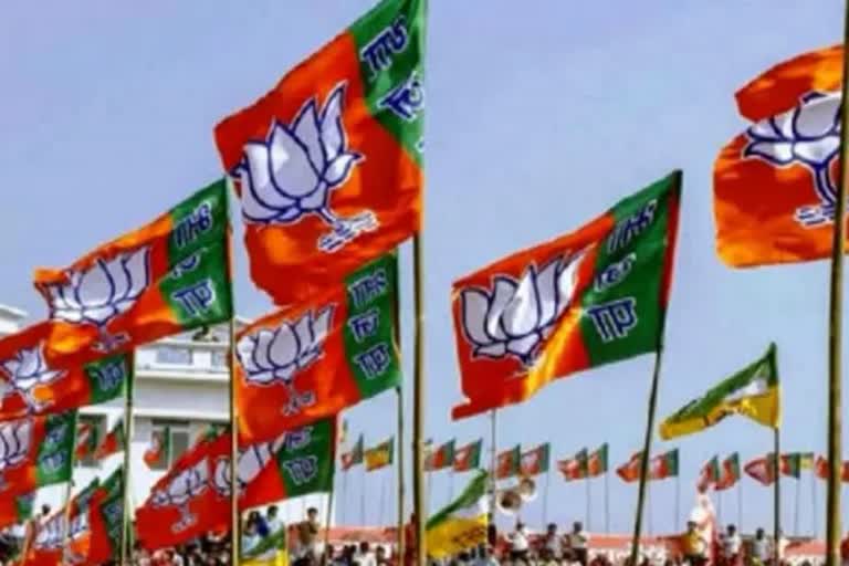 guna municipal president expelled from bjp