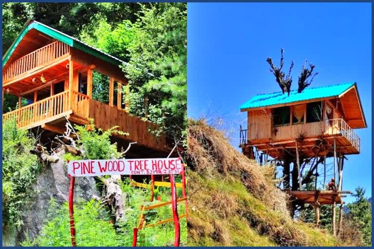 Tree Guest House in kullu