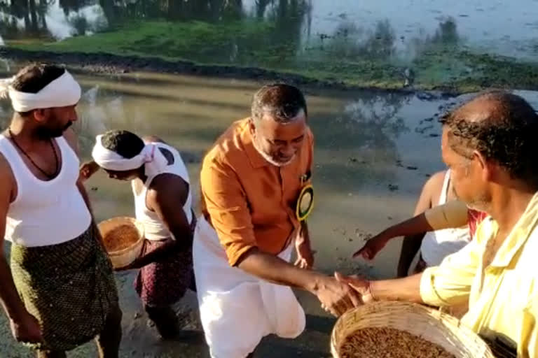 കൃഷിവകുപ്പ് മന്ത്രി പി പ്രസാദ്  ഭൂമാഫിയയെക്കുറിച്ച് കൃഷിവകുപ്പ് മന്ത്രി  മന്ത്രി പി പ്രസാദ് കോട്ടയത്ത്  കോട്ടയത്ത് വിത മഹോത്സവം  വിത മഹോത്സവം  വിസ മഹോത്സവം ഉദ്ഘാടനം ചെയ്‌ത് മന്ത്രി  vitha maholsavam inauguration vechur kottayam  vitha maholsavam inauguration  vechur vitha maholsavam  minister p prasad  p prasad about land mafiya  വെച്ചൂരിൽ വിത മഹോത്സവം