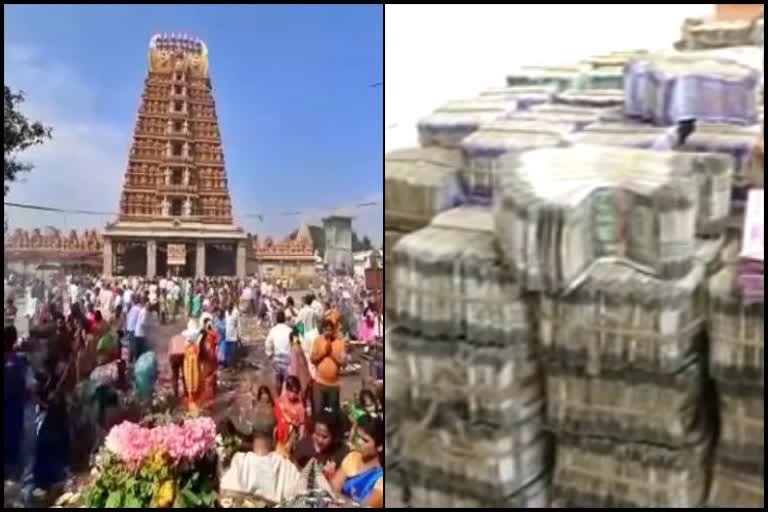 2-dot-40-crores-kanike-from-devotees-to-nanjundeshwara