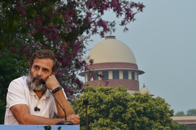 SC dismisses plea against Rahul Gandhi's election from Wayanad in 2019 Lok Sabha polls