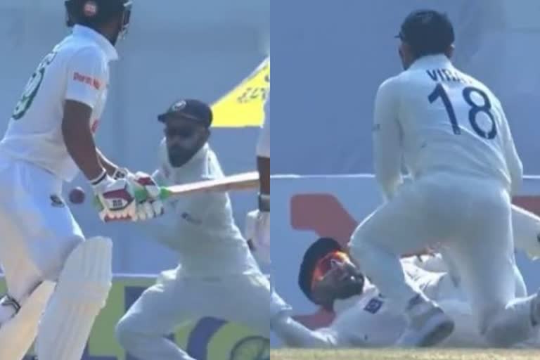 Kohli pant