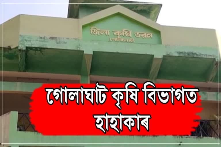 Golaghat Agri Scam Update