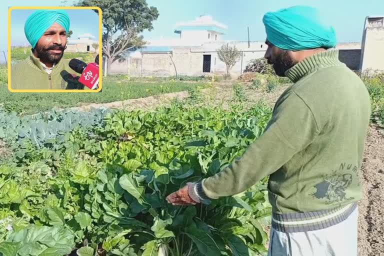 organic farming in Bathinda