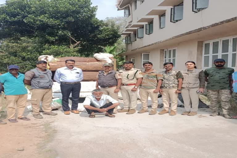 Arrest of one person while transporting illegal beet tree