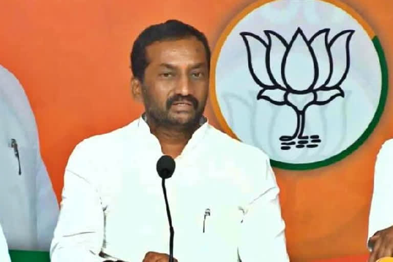 MLA Raghunandan Rao