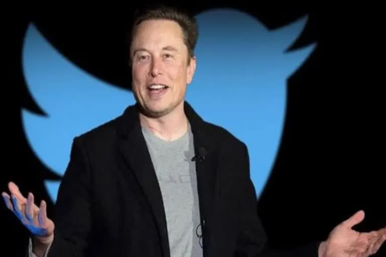 Should I step down as head of Twitter asks Musk on Twitter