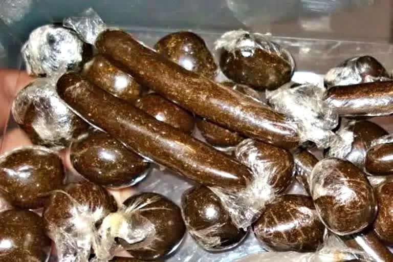 Uttarakhand Drug smuggler arrested in Shimla with Charas