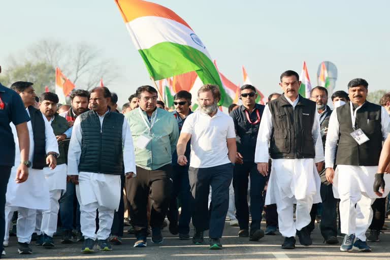 Bharat Jodo Yatra entered in Alwar