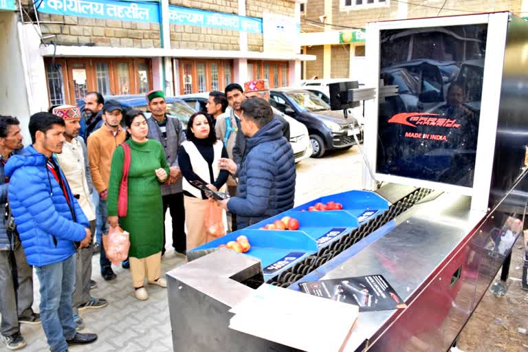 Apple grading and packing machine in kullu