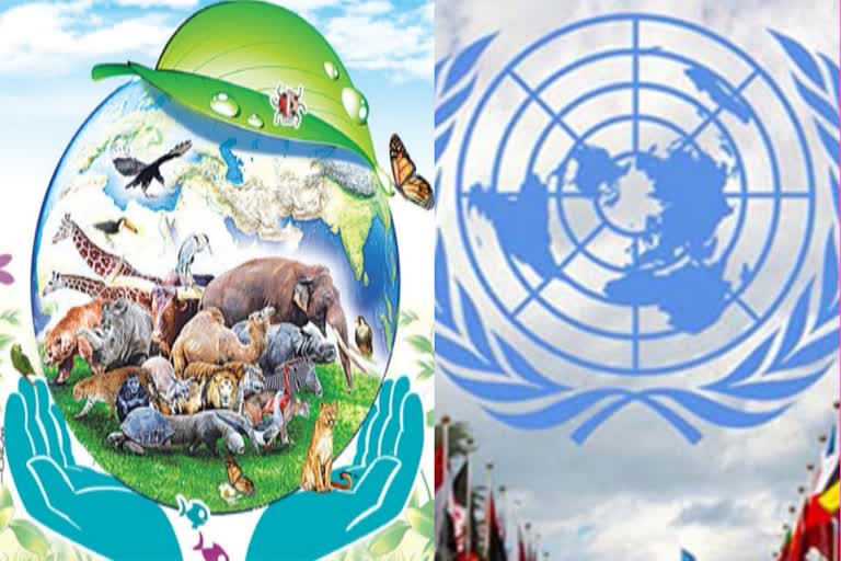 UN BIODIVERSITY AGREEMENT