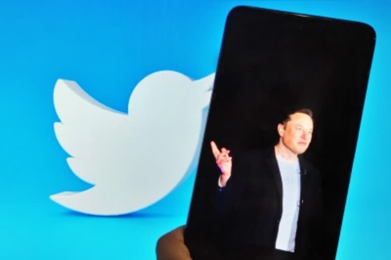 Elon Musk Poll On Stepping Down As Twitter Chief