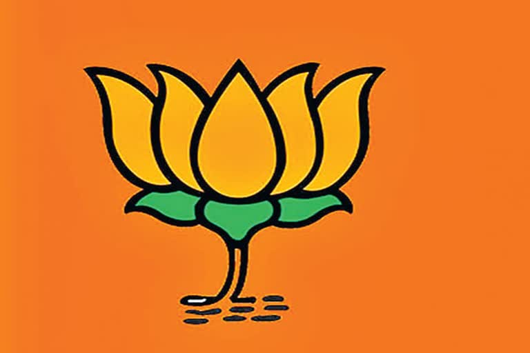 bjp raises difficult lok sabha seats