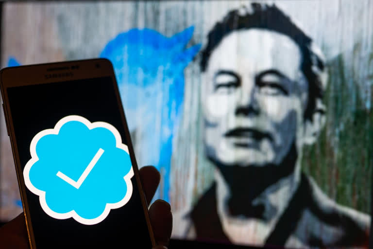 Musk blames bots for his poll, now wants only Blue subscribers to participate