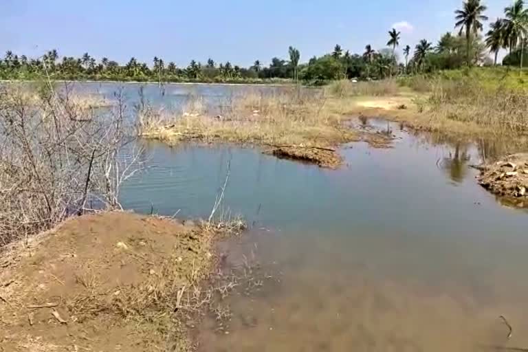 ವಡ್ಡರಹಳ್ಳಿ ಕೆರೆ